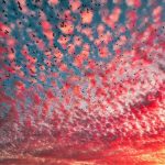 Photos: Cirrocumulus clouds at Sunset