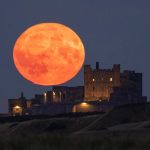 Gallery: The Blue Supermoon