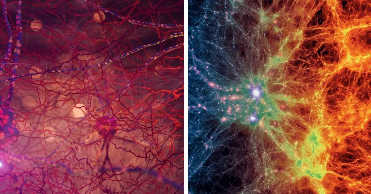 The similarities between the universe and the human brain, astrophysicists and neurosurgeons discover