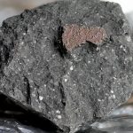 4.6bn-year-old meteorite that crashed into Earth offers clues to the origin of water on our planet